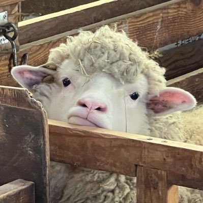 june__ue's profile picture. 