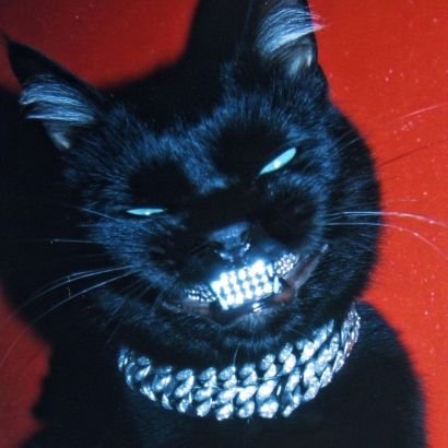 aa_teresaaa's profile picture. ִֶָ𖤐˚ Deqiuv | Raptor ˚𖤐 ִֶָ