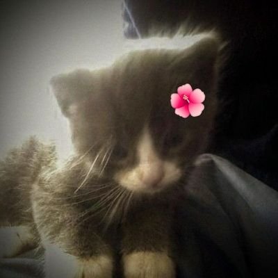 zhaxw_'s profile picture. Jira