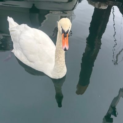 MarkWal22745516's profile picture. 