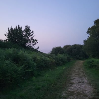 AAmmff__'s profile picture. 