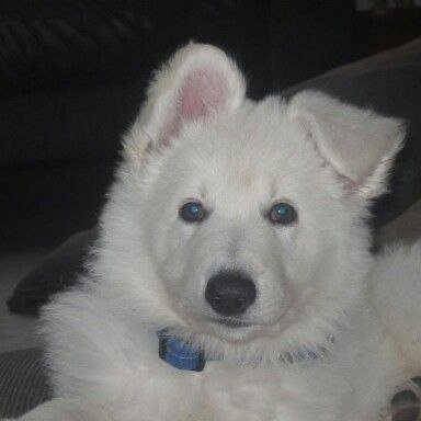 _ESOTERRORIST's profile picture. In the destruction we will be free.