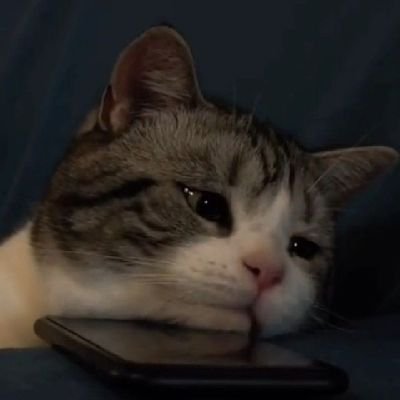 hayalolduya's profile picture. kendihalindebirio