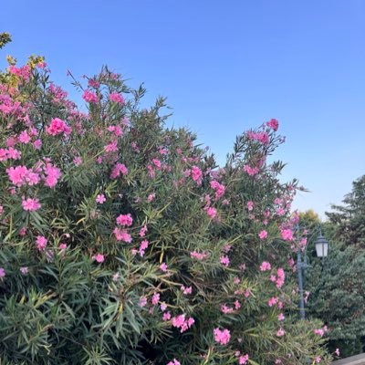 jasminrtt's profile picture. ♡