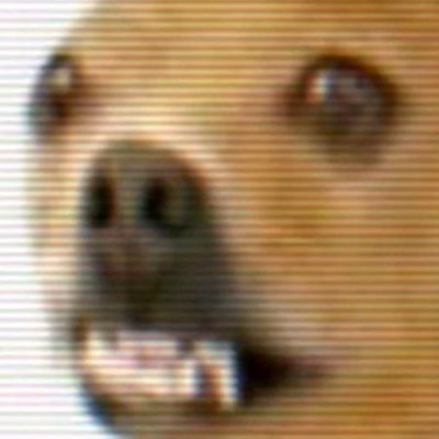 Dev4Sol's profile picture. 