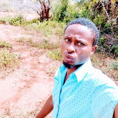 DavidRose396280's profile picture. 