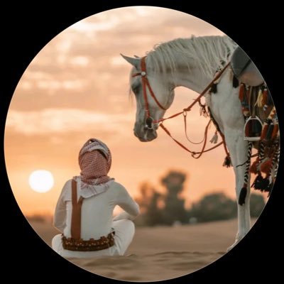 ابونواف Profile