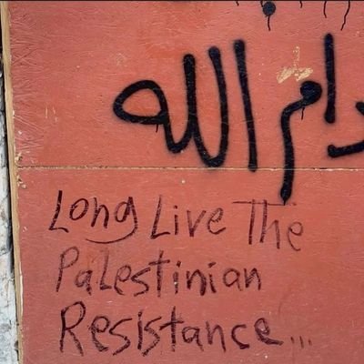 cio009932672147's profile picture. crypto & ai • Moonbirds • real connections only 🧩