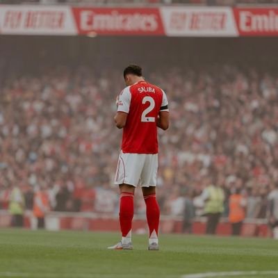 Zeolite819627's profile picture. 𝐀𝐫𝐬𝐞𝐧𝐚𝐥 x 𝐁𝐚𝐫ç𝐚 𝐟𝐚𝐧