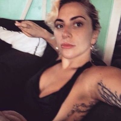 mothermvyhem's profile picture. gaga rant pantanal
