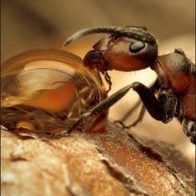 MexZela15845's profile picture. 