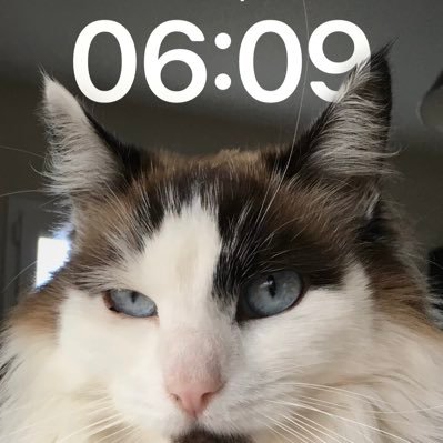 LIBEAU HUGUETTE🇫🇷🇺🇸