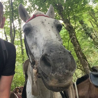 EricaLichtsinn's profile picture. Nitrograph