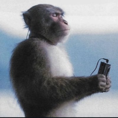 ak_obsi's profile picture. 