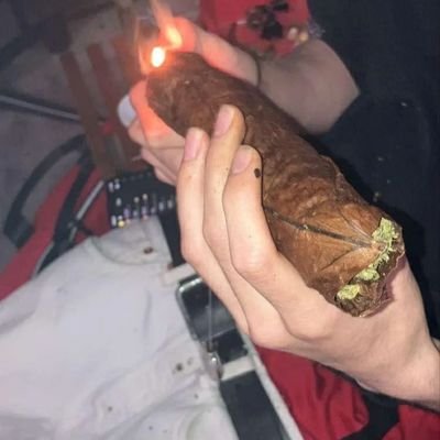 dallas95123's profile picture. weed in Texas  🍃🍃