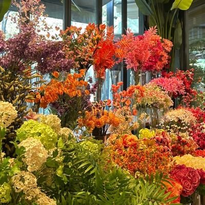 hnfucr11's profile picture. 🌷🪷🌿🫧🧚🏻‍♀️🦢🐹🐾🚲🧁🔖🪄🎡