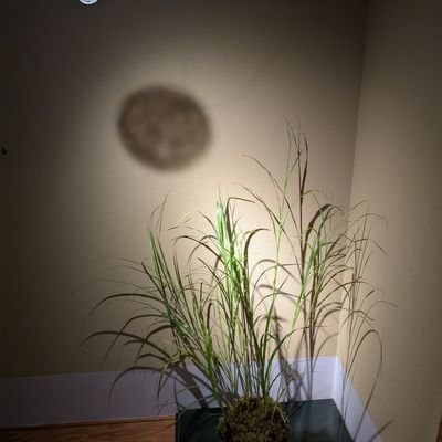 sugiura23's profile picture. 店舗出店🍽️貸別荘🌴幼児教室👶/🛩旅する遊園地🎪をテーマに👼出資👉FC琉球⚽ロケット🚀映画館🎥Artホテル🎨水族館🐠Cacao🍫花火🎆Africa農業🌾図書館📖子供服👗花屋💐Ramen🍜Drone🚁CBD🌿スニーカ👟香り🌸Pバター🥜M&A🐂等 現在🌍世界23都市50社