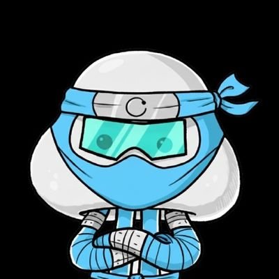 Ijalbiasalah07's profile picture. Silent builder in the Web3 shadows
Code, Create, Conquer the chain.