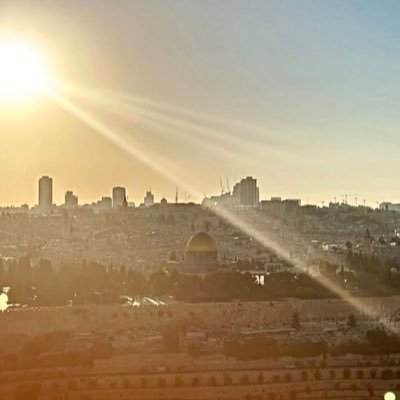 fenunsin's profile picture. 