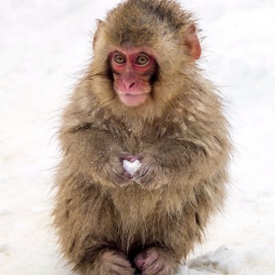 iKissNoctis's profile picture. لا اعوض ولا استبدل ولا اقارن و اتكرر