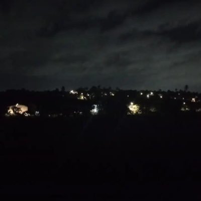 tremmgnbr's profile picture. 
