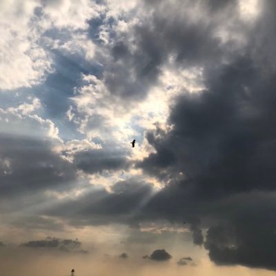 iuiuq1's profile picture. 