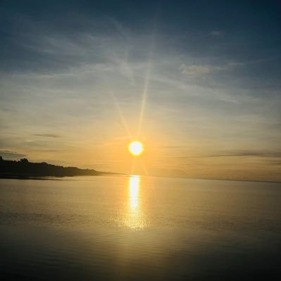 molsky88's profile picture. 