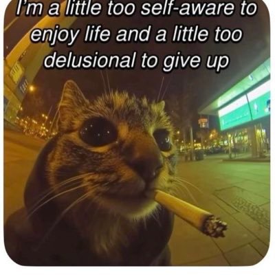 daisypoo15's profile picture. delulu but selfaware.