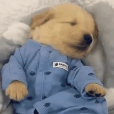 Hyun_daeng's profile picture. IT분야  / 경제적 자유 목표 / 
주변에서 비트코인 얘기를 아예 안 한다?         
나만 산다고 착각 말자. 조용히 모으고 있는 것이다