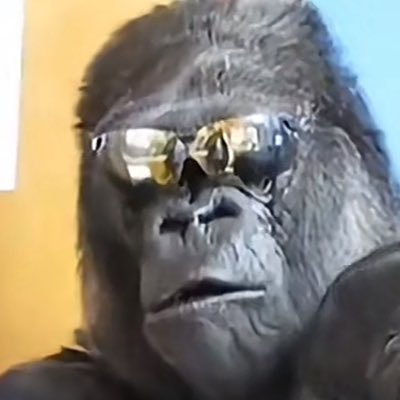 S0M3V3RM1N's profile picture. InfoSec & Networking | Lifelong Student | Allegiance to Curiosity | Breaker of Things | Aspired Threat Hunter | Bad at Chess