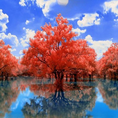 MitcbAnthony's profile picture. The seed of love is within every act of kindness, a seed that will grow in the heart of the recipient.