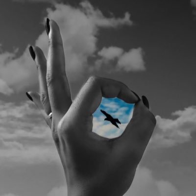 alaml1066154's profile picture. 