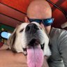 HENRIFANTHOME's profile picture. Architect, Biker, Cyclist, Dog Dad.