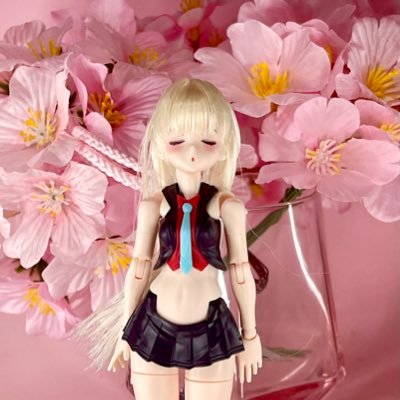 【のこまち】ジャスミンウィッグ（旧グリver） 壱樹 次はAKガーデン on X: 