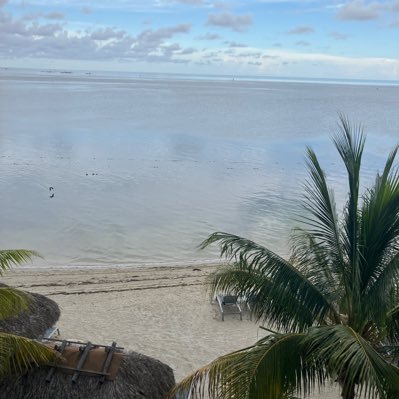 LSnegQ's profile picture. 