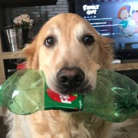 ☆ (@eduulebk) 's Twitter Profile