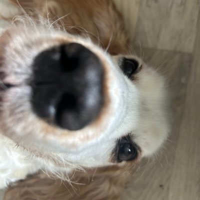 AdrianSkin25370's profile picture. 