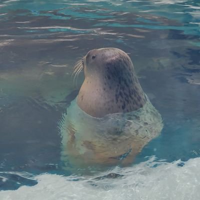 牛頭ヨルさんのプロフィール画像