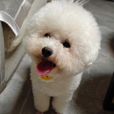 @qiaoqiao1878637