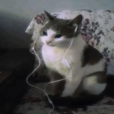 El_vendebonais5's profile picture. Ese vato que solo desperdicia su tiempo en esta red social...