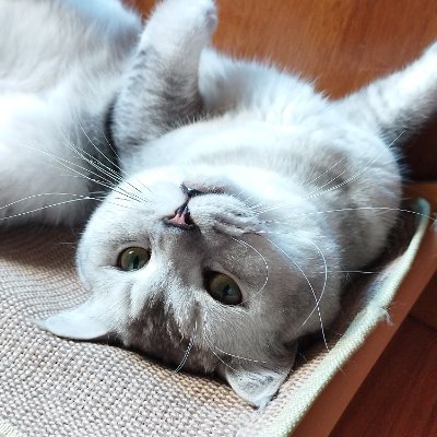 みなちゃんさんのプロフィール画像