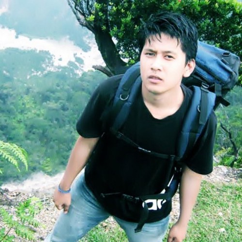 l4nds's profile picture. 