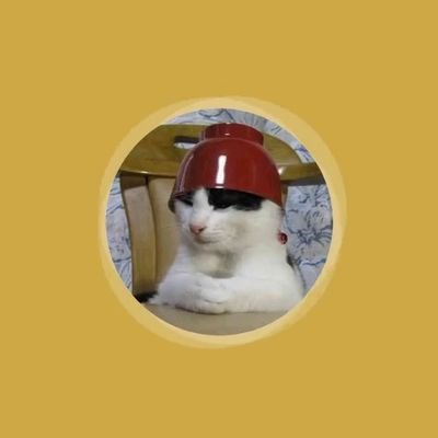 Asuasita2355's profile picture. 大阪府在住　危険物取扱者　運行管理者　
国家資格を含め、１３個の資格を持つ　
ヘッダーは私の出身大学の時計台
歌、音楽が趣味　実は2014年から旧
Twitterやっていた私です