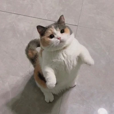 tsukikage_jin's profile picture. 