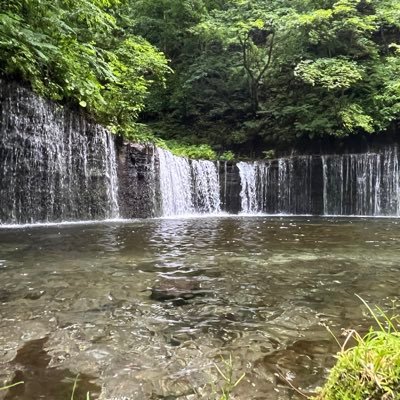 k0278597281771's profile picture. 20XX年生まれ　2025.10月～中大通教🔰
会社員しながら頑張ります🔰

R6.8 会計士試験（企業経営受験）
R6.8 中小企業診断士試験（一次　経〇企〇財〇法〇）
来年は運、情、中を受けます！

興味：行政書士　海事代理士　宅建