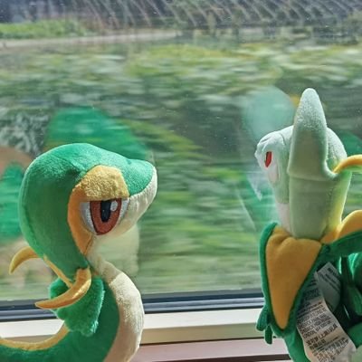 edihutim's profile picture. 中国語勉強中
山形→台湾→北海道→秋田