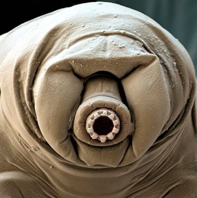 matchaCyber's profile picture. Aspires to create strong and loving family. Feels strong that world peace is possible.  Half-Korean and half Japanese. 
愛に満ちた家族を築きたい | 世界平和は実現出来る | 韓日のハーフ