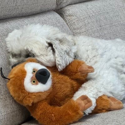 kimberjknapp's profile picture. 