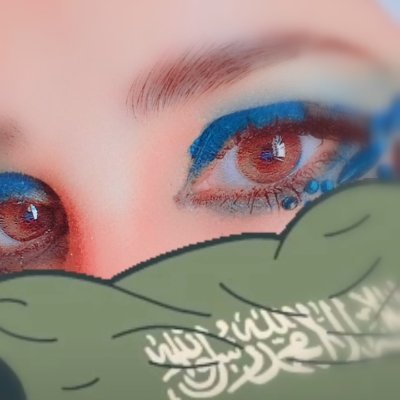 wardh_wardh1's profile picture. 🇸🇦 اترجم احاسيسي الوطنية بقصيدة عذبة للوطن  🇸🇦💚🤍
 #ولي_العهد  #محمد_بن_سلمان 🩷❄️☕