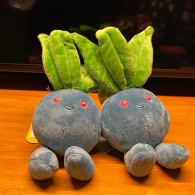 kim 草さんのプロフィール画像